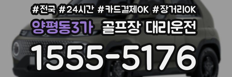 양평동3가 골프장 대리운전