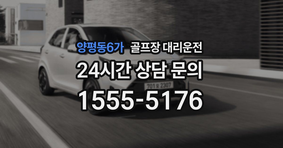 골프장 대리운전 서비스