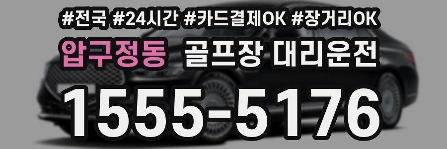압구정동 골프장 대리운전