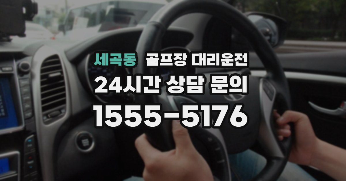 골프장 대리운전 서비스