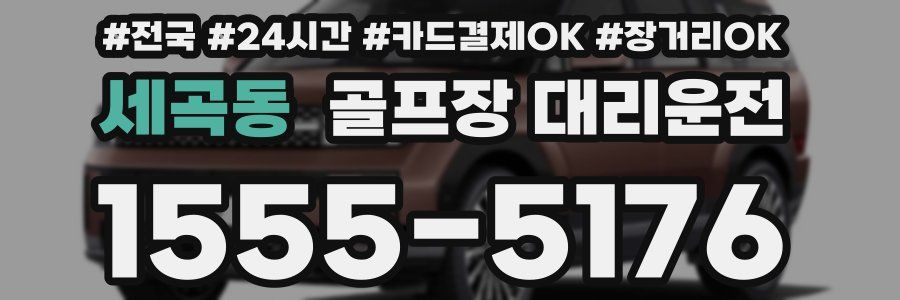 세곡동 골프장 대리운전