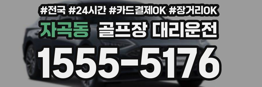 자곡동 골프장 대리운전