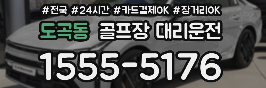 도곡동 골프장 대리운전