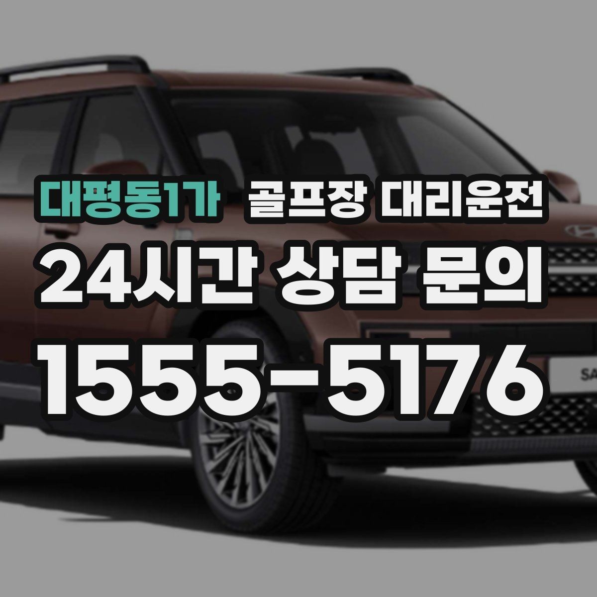 대평동1가 골프장 대리운전 코스 주차 특징을 반영한 안전 진입