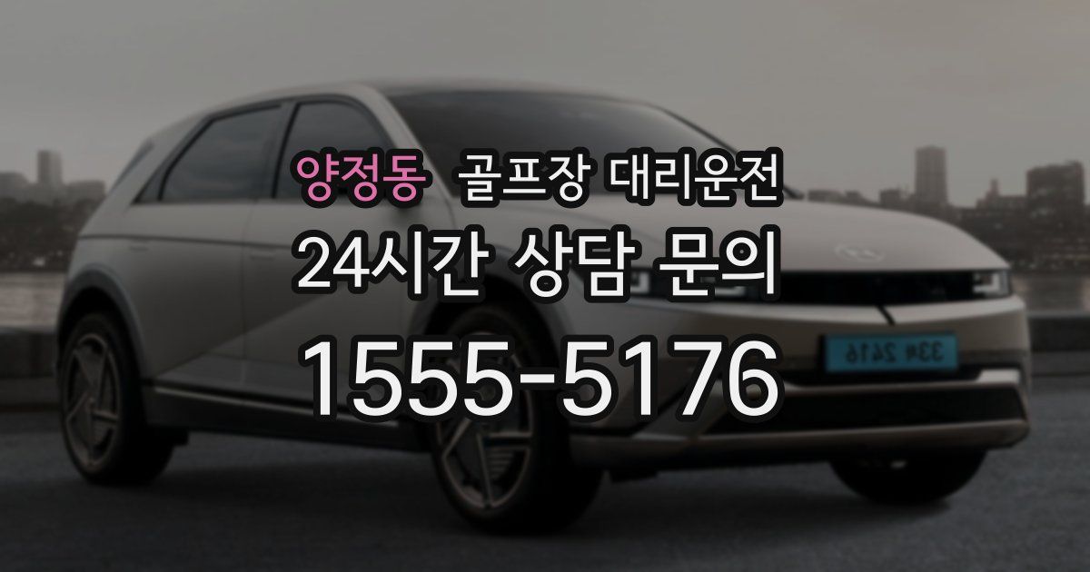 골프장 대리운전 서비스