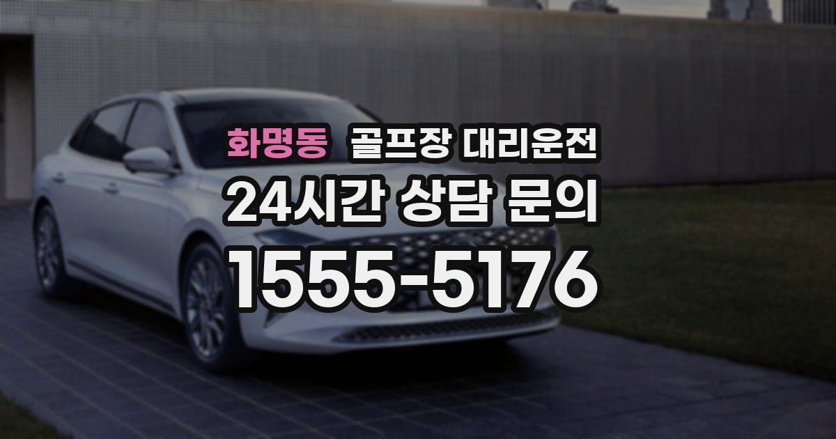 골프장 대리운전 서비스