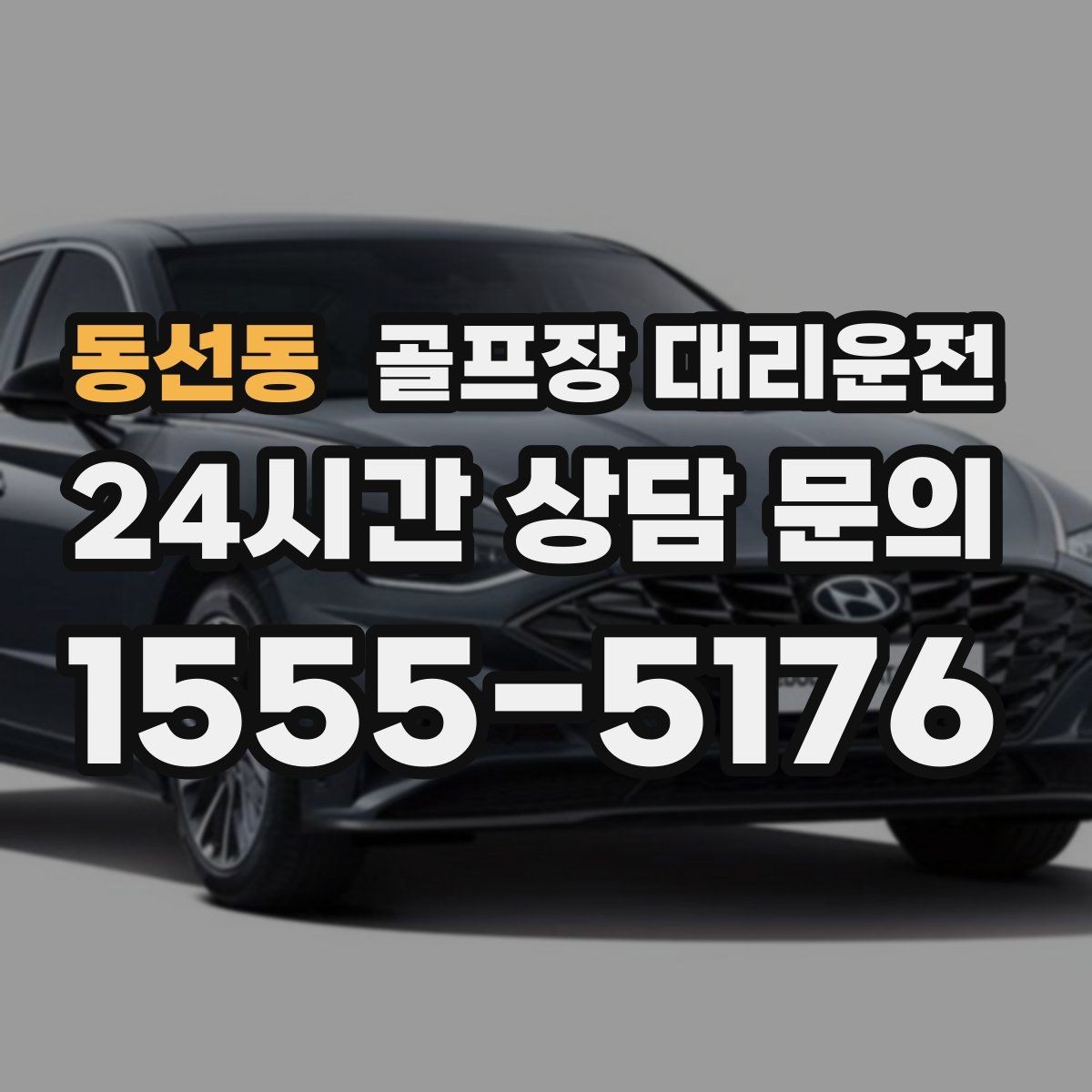 동선동 골프장 대리운전 코스 주차 타워 진입 가능 여부 점검