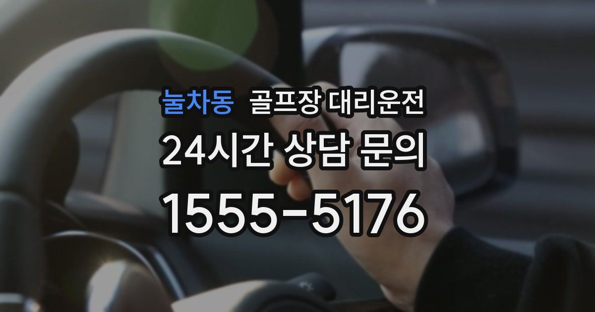 골프장 대리운전 서비스