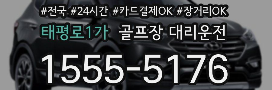 태평로1가 골프장 대리운전