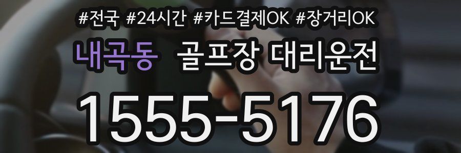 내곡동 골프장 대리운전
