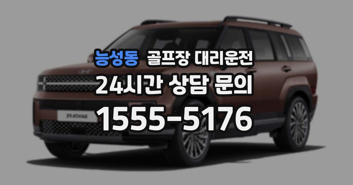 골프장 대리운전 서비스