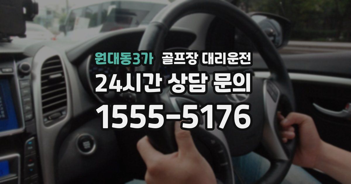 골프장 대리운전 서비스