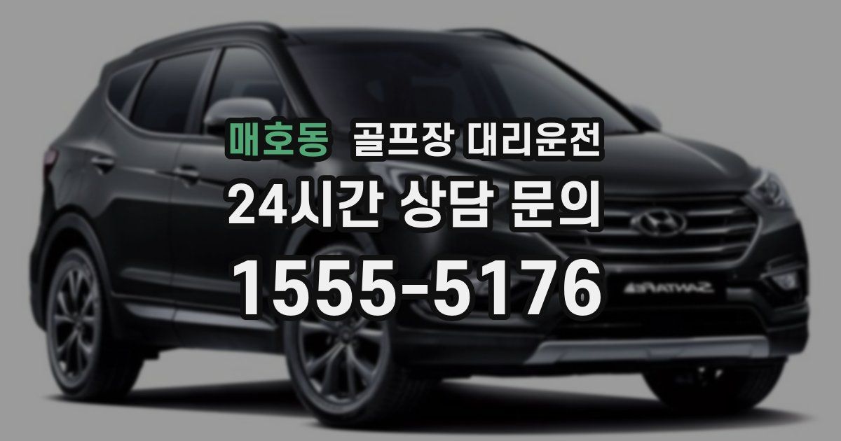 골프장 대리운전 서비스