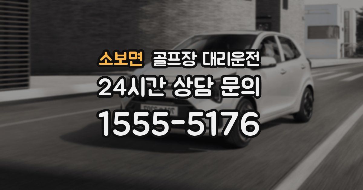 골프장 대리운전 서비스