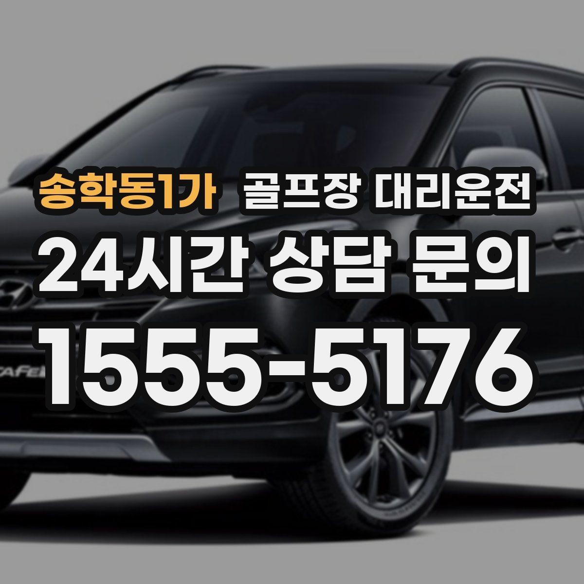 송학동1가 골프장 대리운전 코스 주차 특징을 반영한 안전 진입