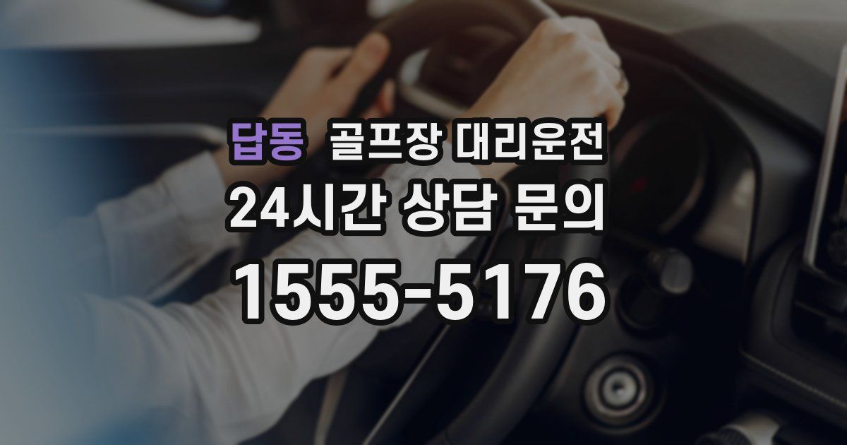 골프장 대리운전 서비스