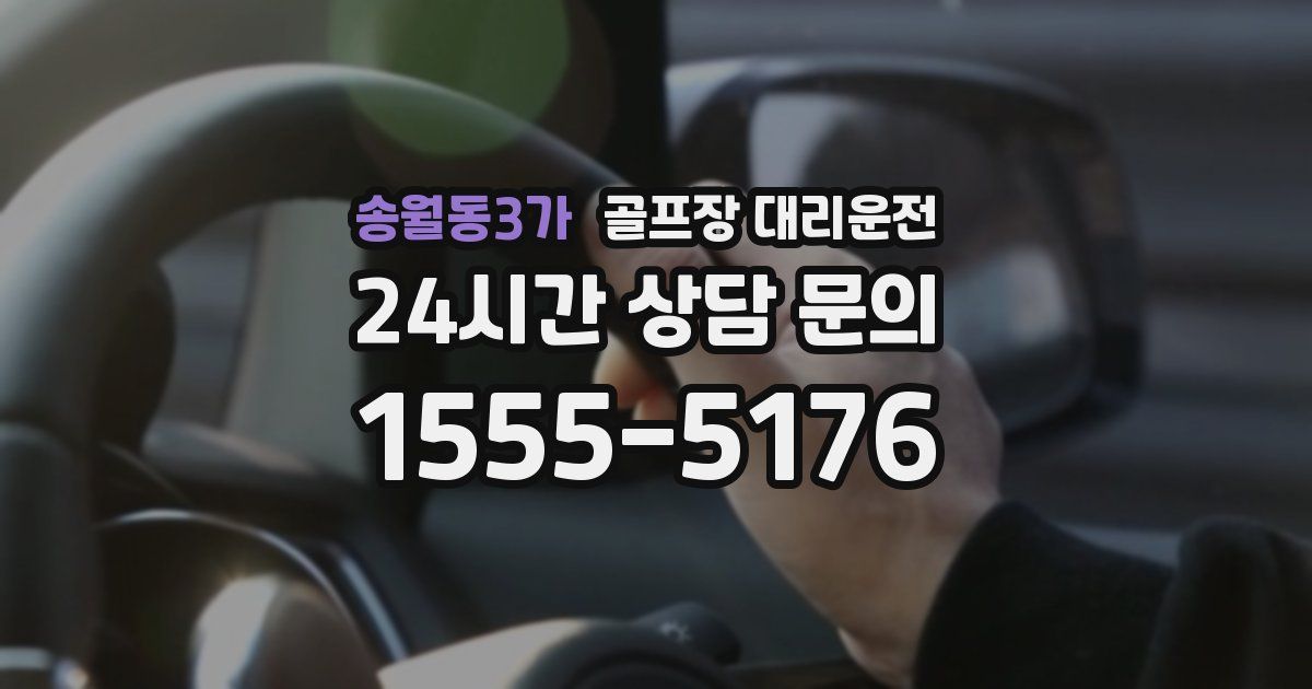 골프장 대리운전 서비스