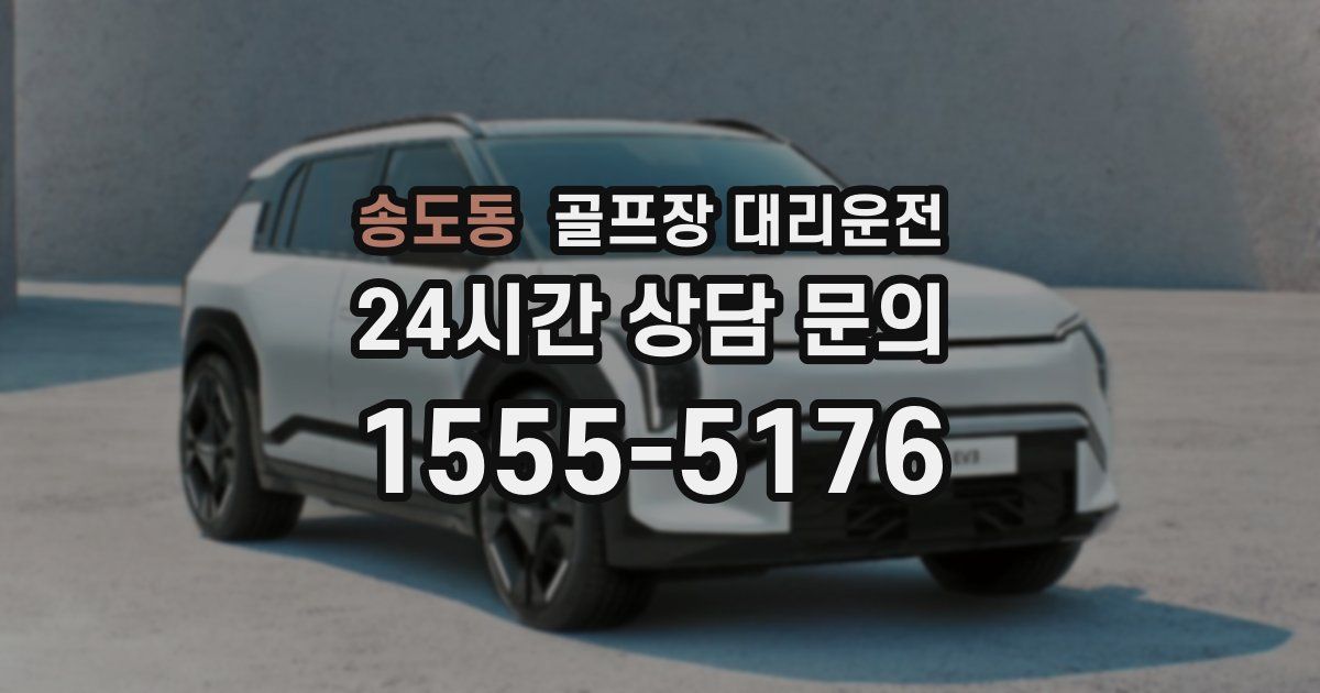 골프장 대리운전 서비스