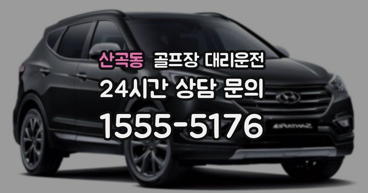 골프장 대리운전 서비스