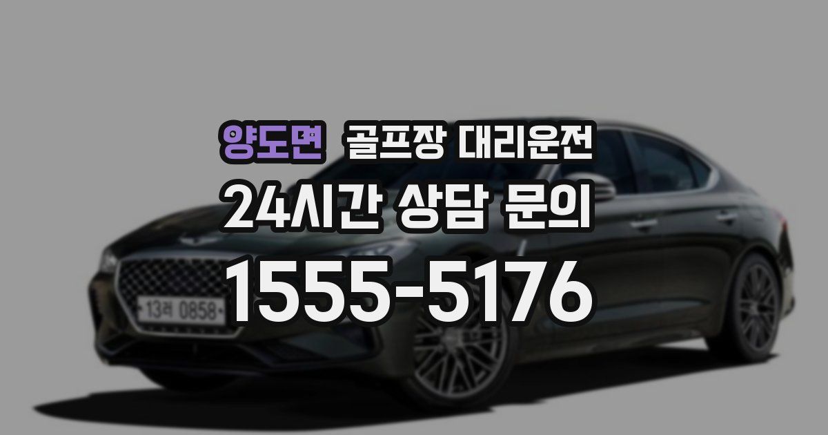 골프장 대리운전 서비스