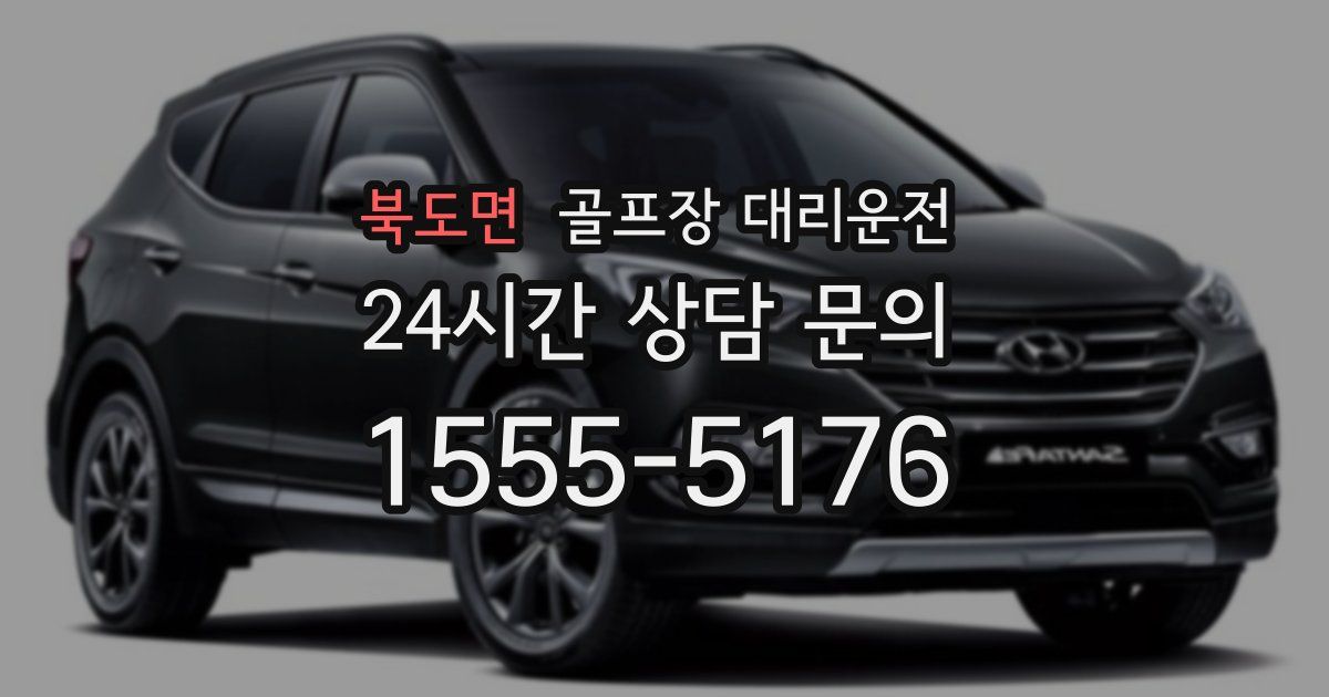 골프장 대리운전 서비스