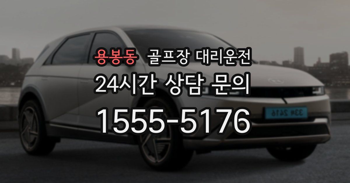 골프장 대리운전 서비스