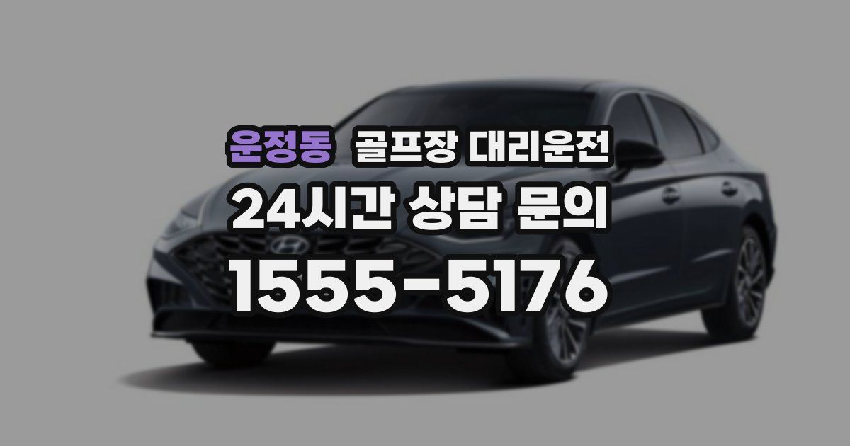 골프장 대리운전 서비스