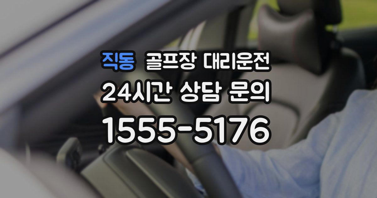 골프장 대리운전 서비스