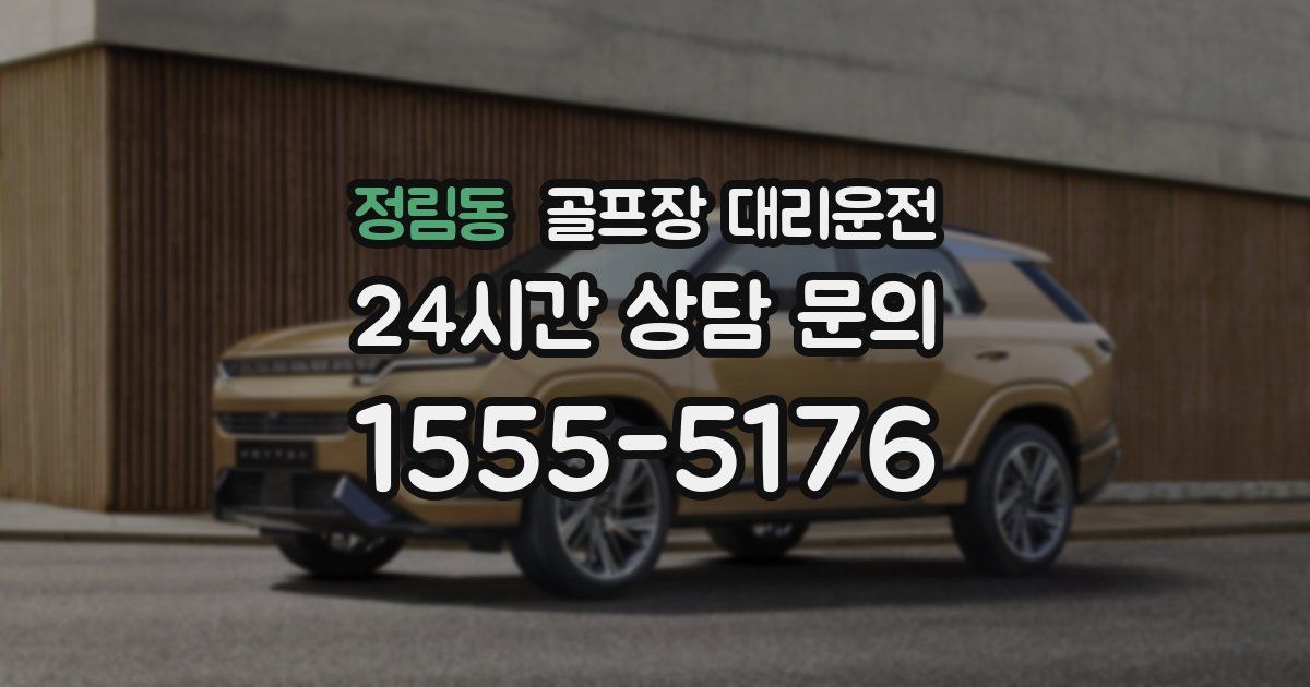 골프장 대리운전 서비스