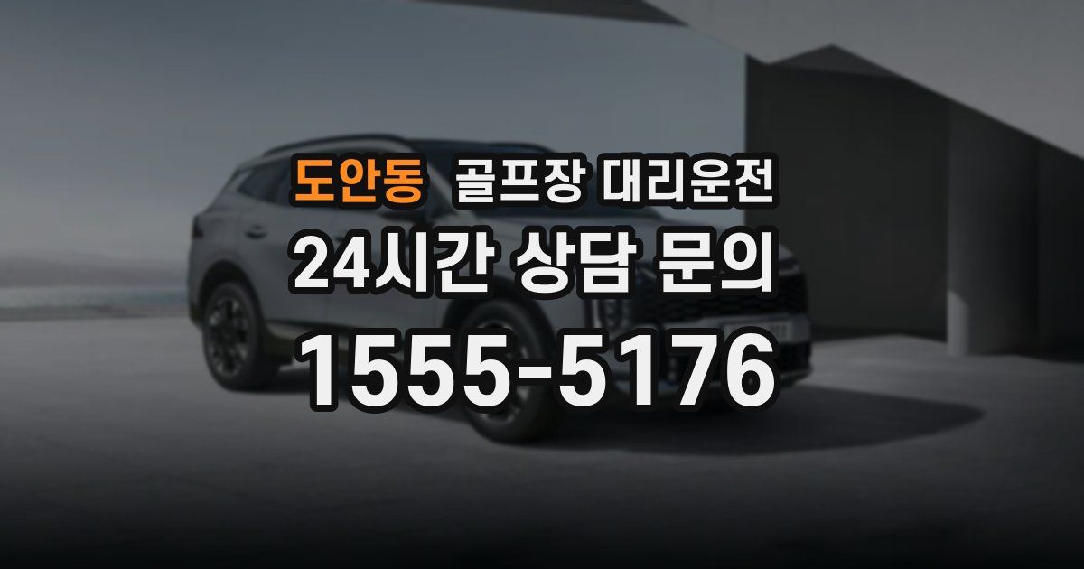 골프장 대리운전 서비스