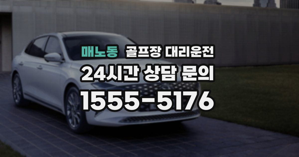 골프장 대리운전 서비스