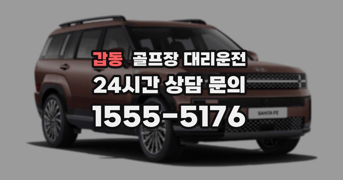 골프장 대리운전 서비스