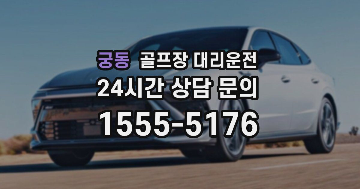 골프장 대리운전 서비스