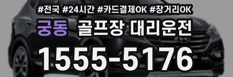 궁동 골프장 대리운전