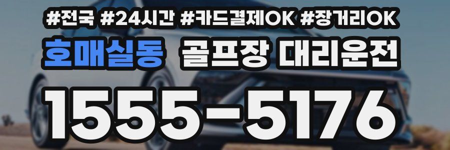 호매실동 골프장 대리운전