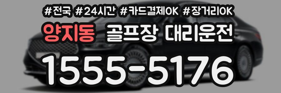 양지동 골프장 대리운전