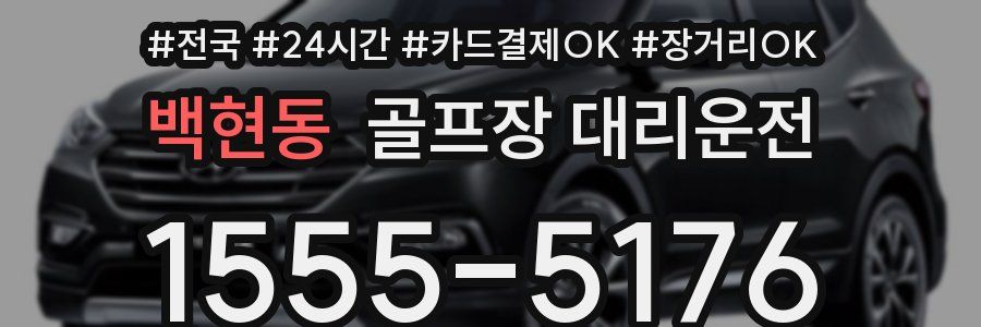 백현동 골프장 대리운전