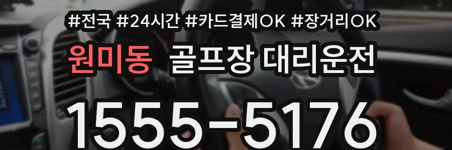 원미동 골프장 대리운전