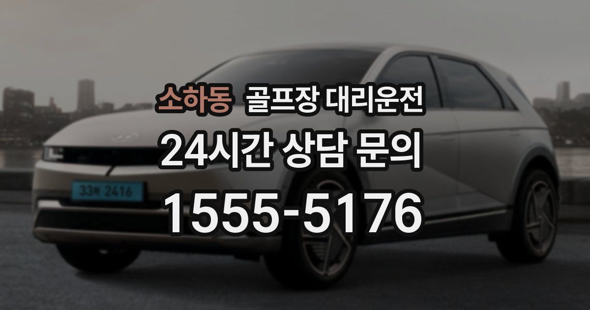 골프장 대리운전 서비스