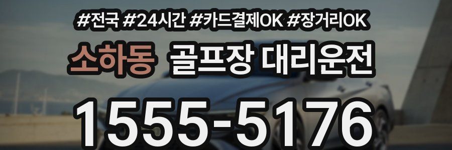 소하동 골프장 대리운전