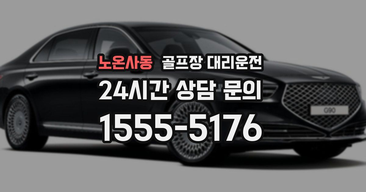 골프장 대리운전 서비스