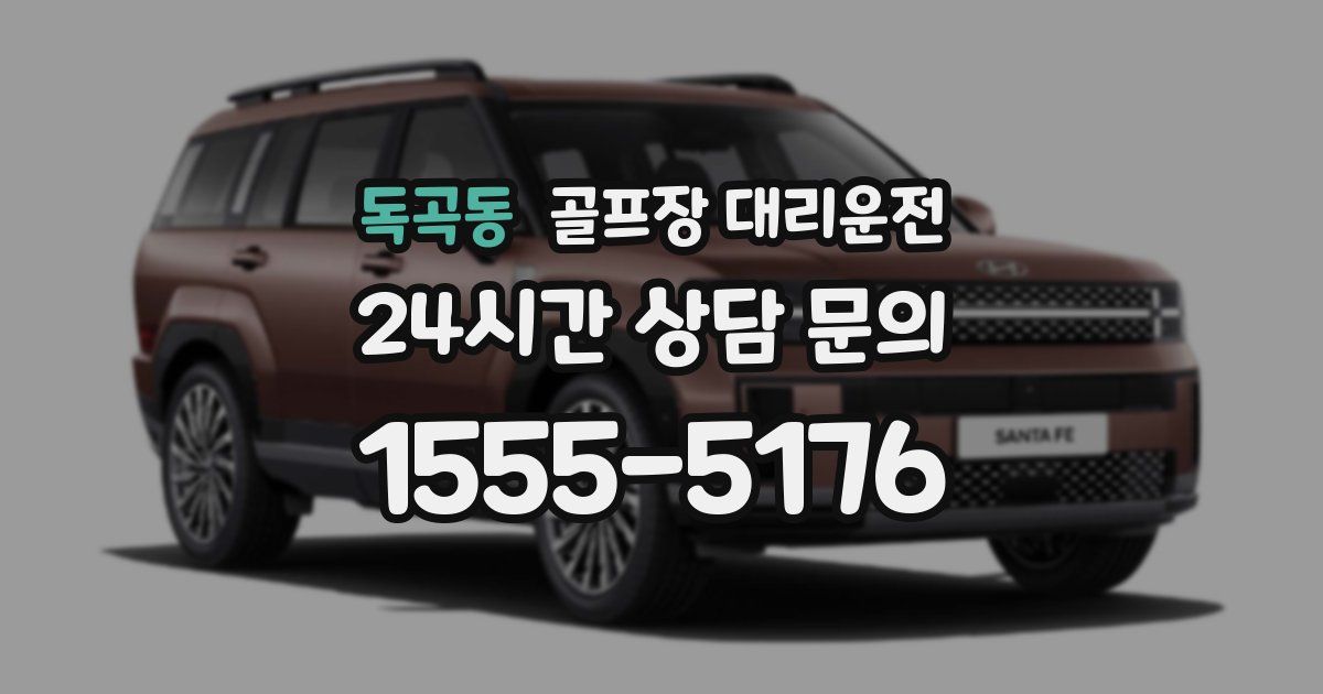 골프장 대리운전 서비스