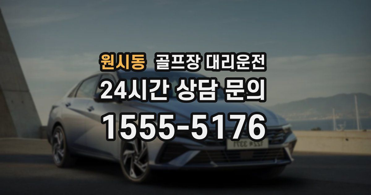 골프장 대리운전 서비스