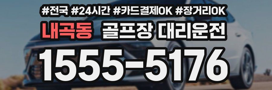 내곡동 골프장 대리운전