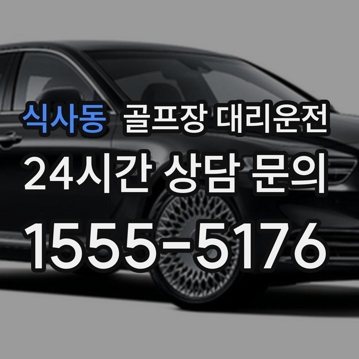 식사동 골프장 대리운전 라운드 후 회동 장소까지 끊김 없는 이동