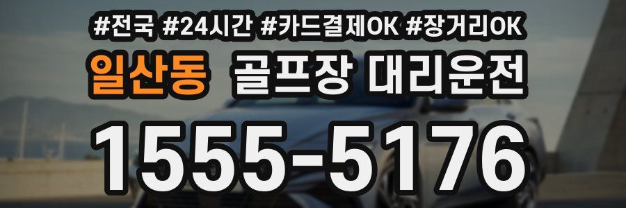 일산동 골프장 대리운전