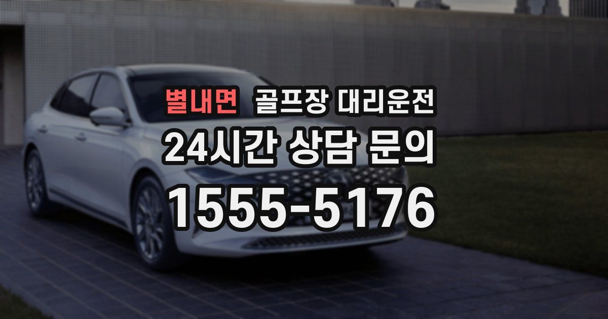 골프장 대리운전 서비스