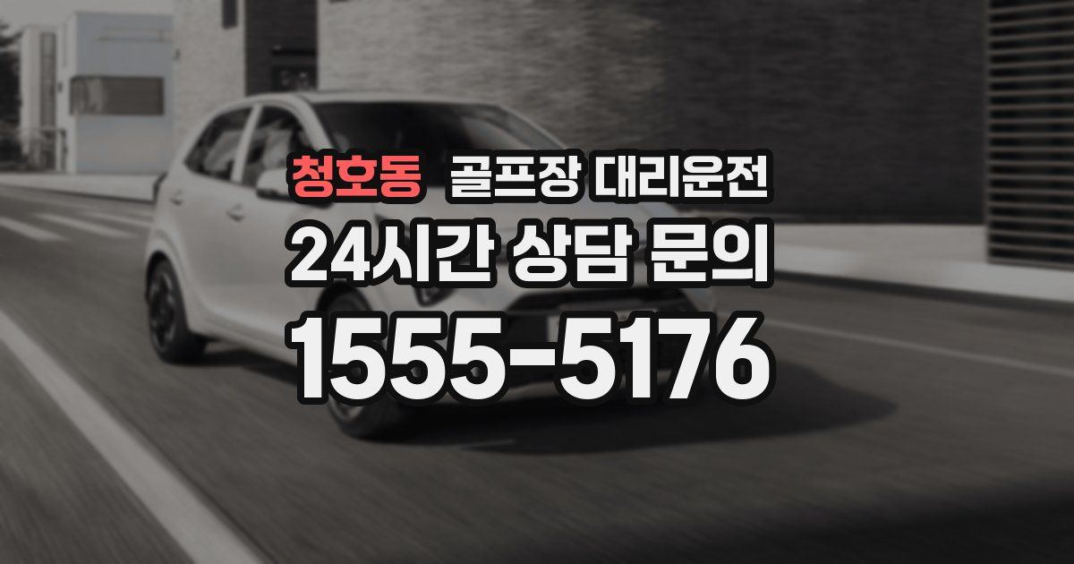 골프장 대리운전 서비스