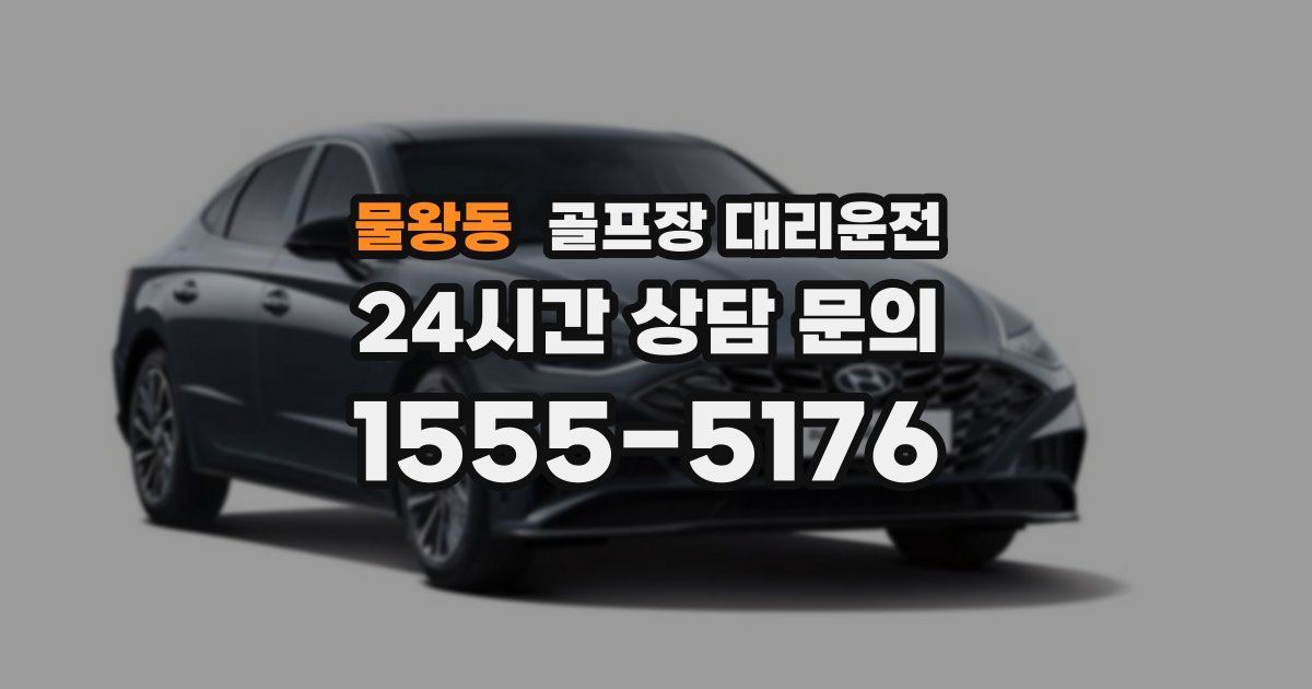 골프장 대리운전 서비스