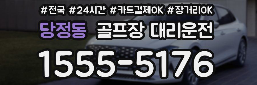 당정동 골프장 대리운전